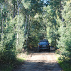 DSC_0039.JPG