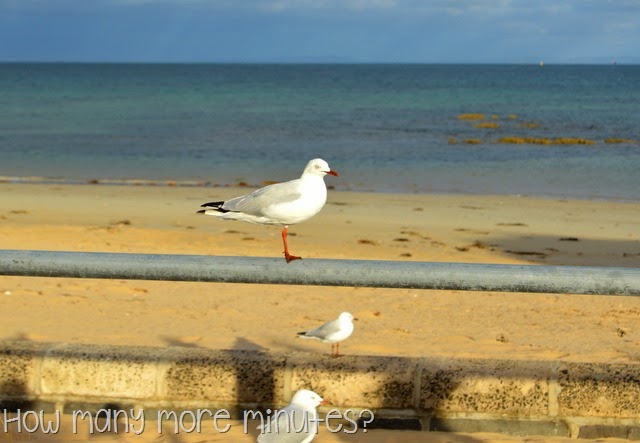 [DSC_1217%255B3%255D.jpg]