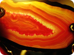 IMG_4953 IMG_4953