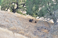 DSC_7604.jpg