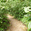 The nature reserve trail.