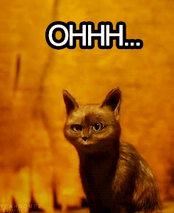 [tumblr_lxgtya6o9Q1qffdizo2_250%255B2%255D.gif]