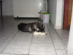 Maggie roendo osso de couro