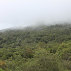 IMG_3237.JPG