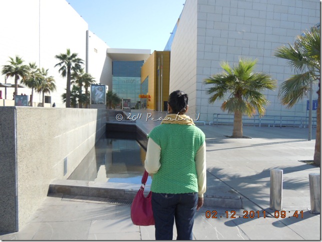 DSCN3769 DSCN3769