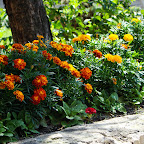 Krakow Randomness 072.JPG