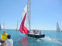 Sheldon Clarke Regatta 2010 / Sheldon Clarke 2010: Sunday's race, approaching the 1st mark, here Mojo drops their spinnaker.