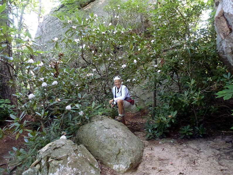 [26a---Rock-Garden-Trail---Rhododendr%255B2%255D.jpg]