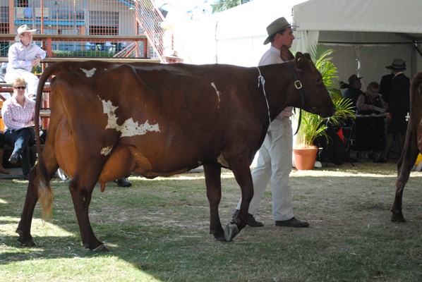 Den - Dia Empress 75 Owner Ledger Family.JPG