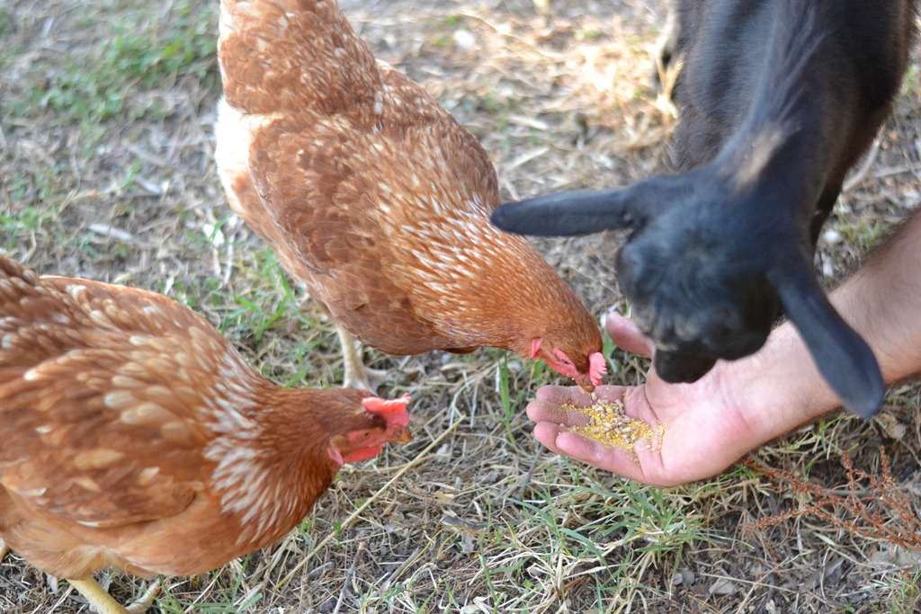 [DSC_0104%255B5%255D.jpg]