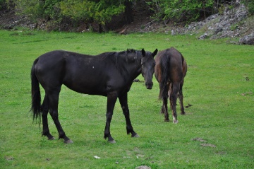 DSC_0635.jpg DSC 0635