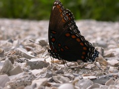 DSCN1922