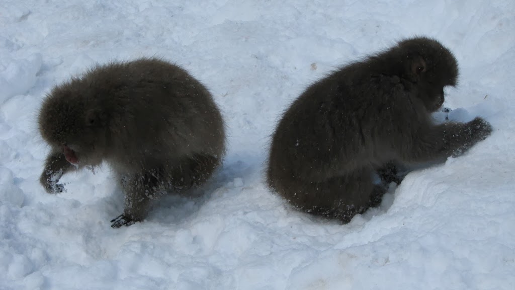 [IMG_4275%255B3%255D.jpg]