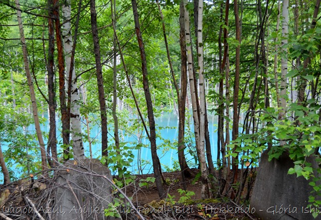 Lagoa Azul - Biei - Hokkaido - Glória Ishizaka - 3
