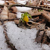 dsc06546.jpg