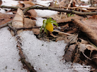 dsc06546.jpg