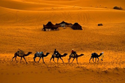 desertffd54e