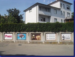 SAM_1556 SAM_1556
