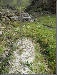 DSCN1708 DSCN1708