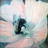 Magda Carels - 