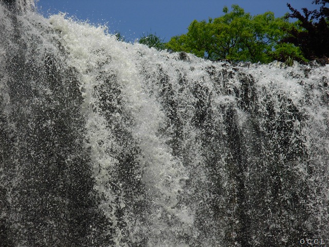 [DSCN0214%255B3%255D.jpg]