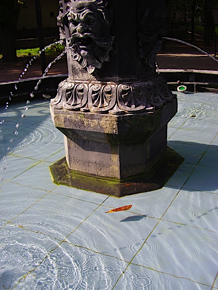 P8080020.JPG