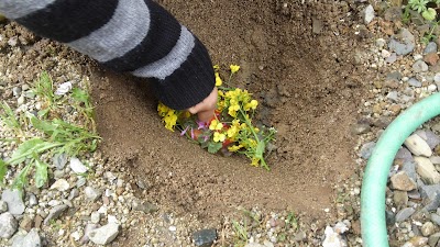 2014-03-27 08.53.04.jpg