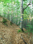 DSCF5432.JPG