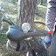 DSC00375.JPG