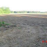 CIMG6458.JPG