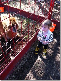IMG_2277 IMG_2277