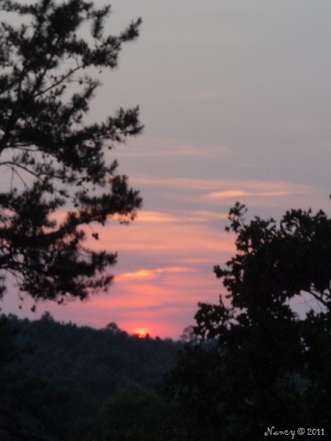 [DSC026878.jpg]