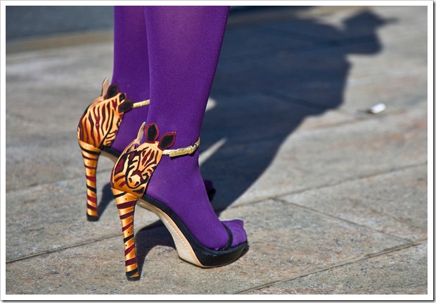 zebra_shoes