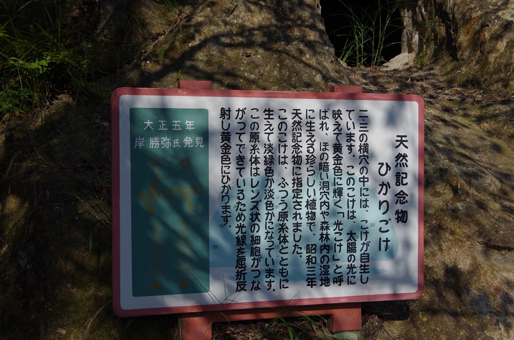 [IMGP1346%255B3%255D.jpg]