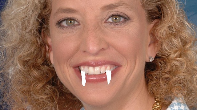 [DebbieWassermanSchultz%255B3%255D.jpg]