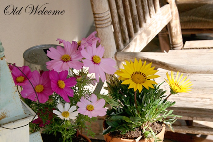 [potted-flowers-old-rocker-front-porc%255B2%255D.jpg]