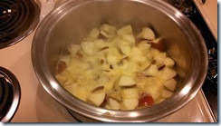 Apples in the hot tub for cinnamon  applesauce