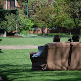 "Lawn Chairs" - copyright Rebecca Ferlotti