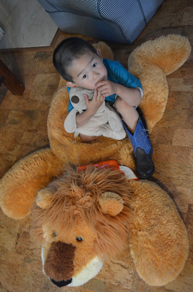[DSC_1333%255B4%255D.jpg]