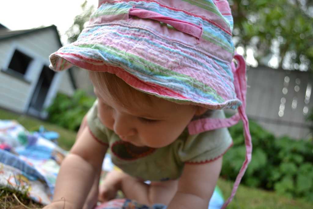 [DSC_1007%255B5%255D.jpg]