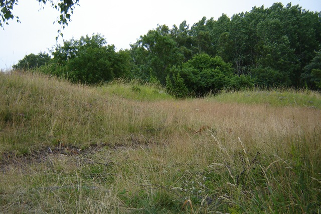 [DSC08208%255B3%255D.jpg]