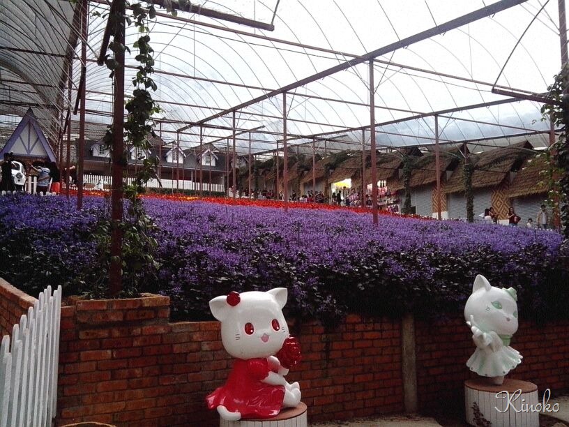 [IMG-20130317-WA0037%255B2%255D.jpg]