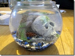 IMG_0009 IMG_0009