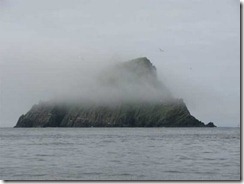 foggyskellig