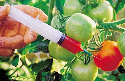 [475207_1%255B4%255D.jpg]