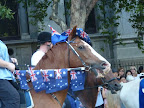 P1020425.JPG
