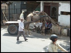 India, Jaipur. (4)