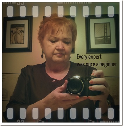 a beginner a beginner