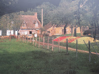 Apple harvest in Normandy