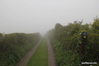 IMG_9324.JPG Photo